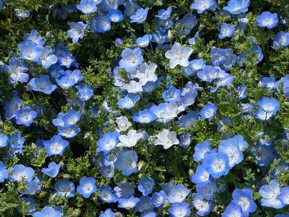平日なのに☆