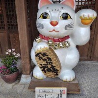たえこ