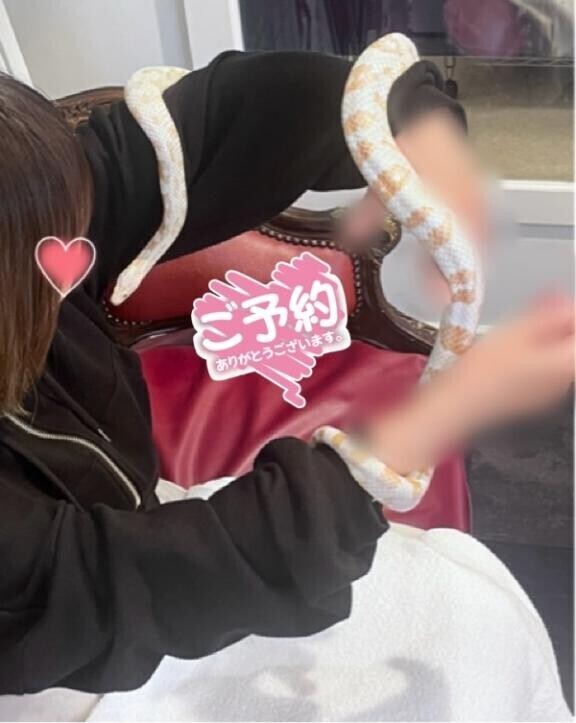 明日150分のご予約?