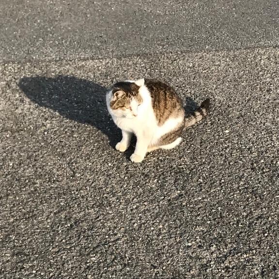 お礼です