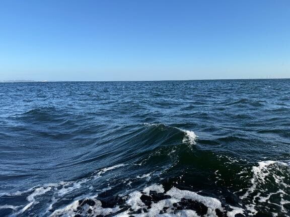 海ー