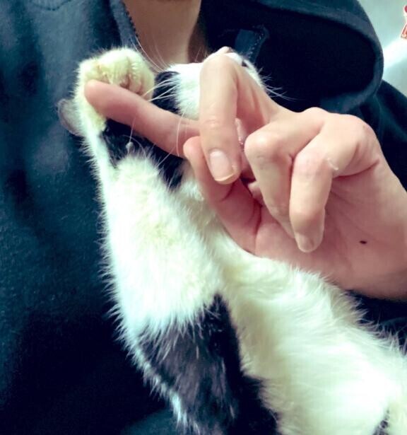 私の写メ日記