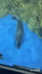初めまして