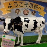 たえこ