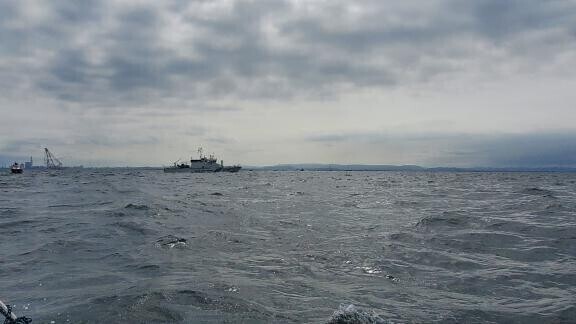 くるみお休み中です