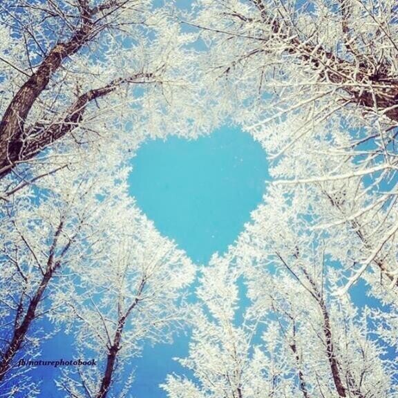 ありがとうございました