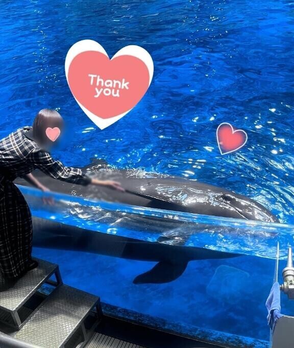 本指名K様 ⸜(感•ᴗ•謝)⸝