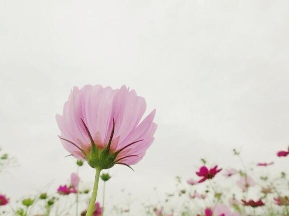 ｵﾊﾖ(∩･∀･∩)♡