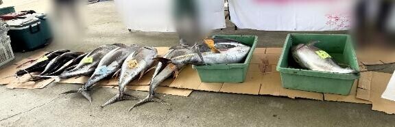 ｵﾊﾖ(∩･∀･∩)♡