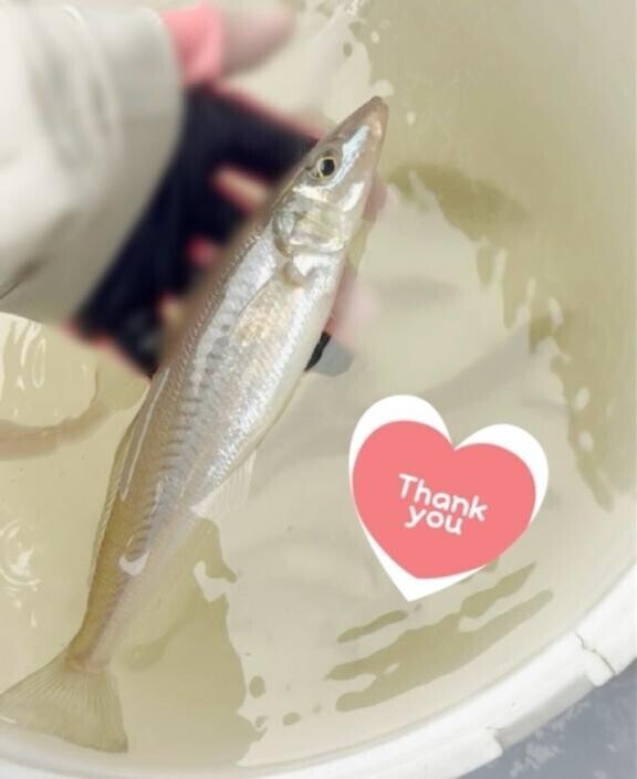 本指名Y様 ⸜(感•ᴗ•謝)⸝