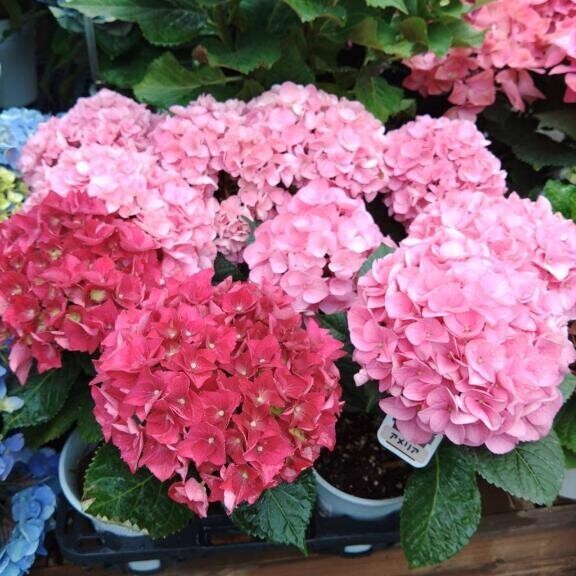 本日も一日ありがとうございました！