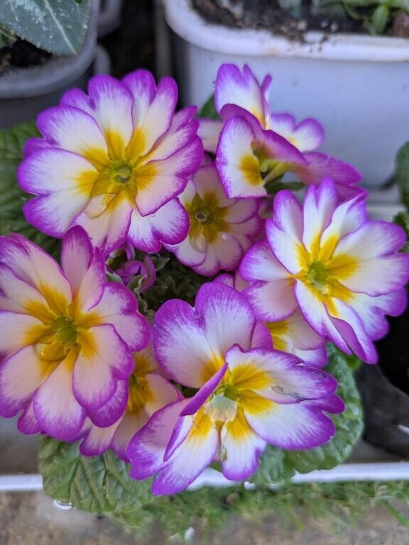 おはようございます！雨ですね(⁠｡⁠ﾉ⁠ω⁠＼⁠｡⁠)