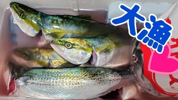 お休み中のくるみです♡