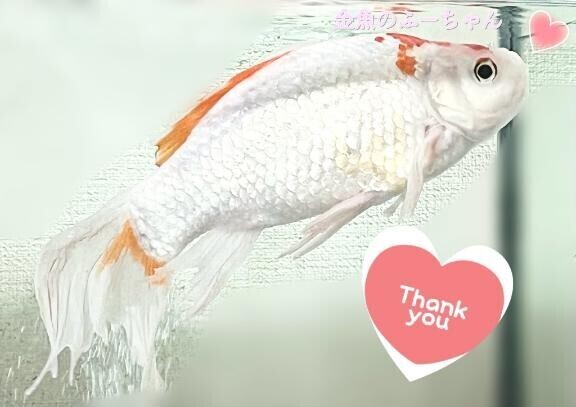 本指名T様 ⸜(感•ᴗ•謝)⸝