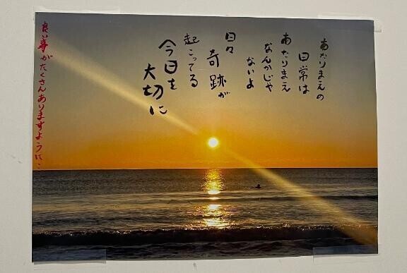 今月の出没情報