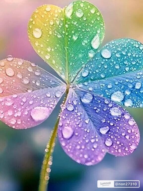 マイガール登録ありがとう(*´꒳`*)