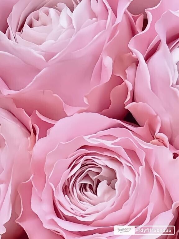 昼間◯様ありがとう^_^