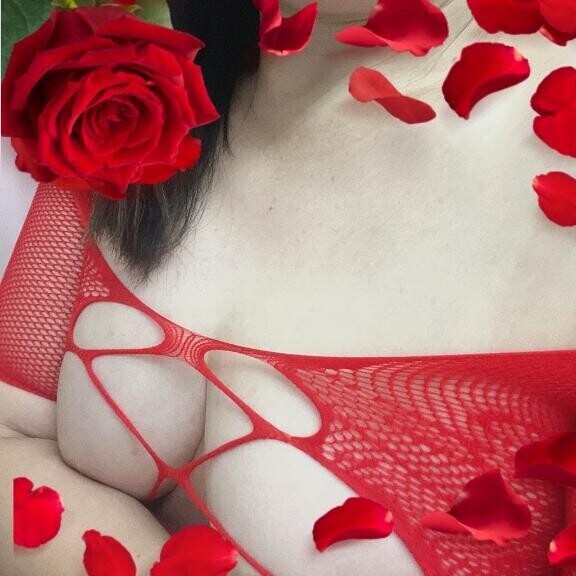 昨夜のお礼です