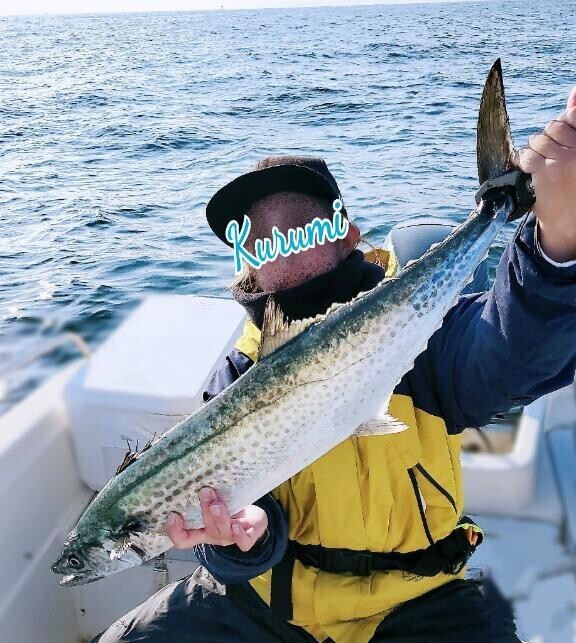 お休み中のくるみです♡