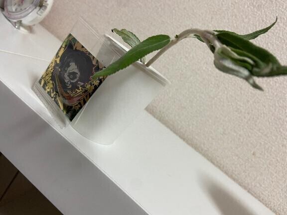 引きが強いって