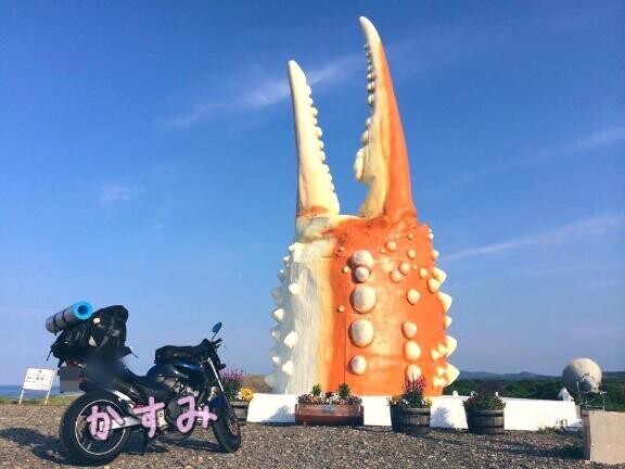 ｵﾊﾖ(∩･∀･∩)