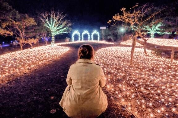 直近のスケジュール