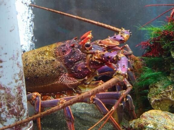 明日出勤します🫶