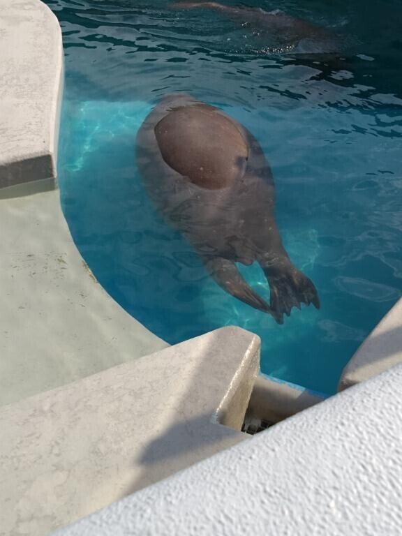 今日は天気が良かったので