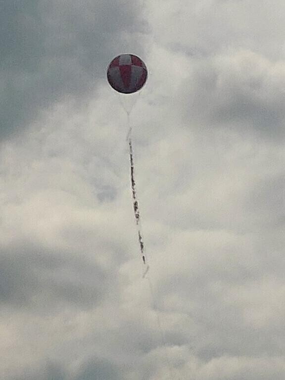 久しぶりに見た！！