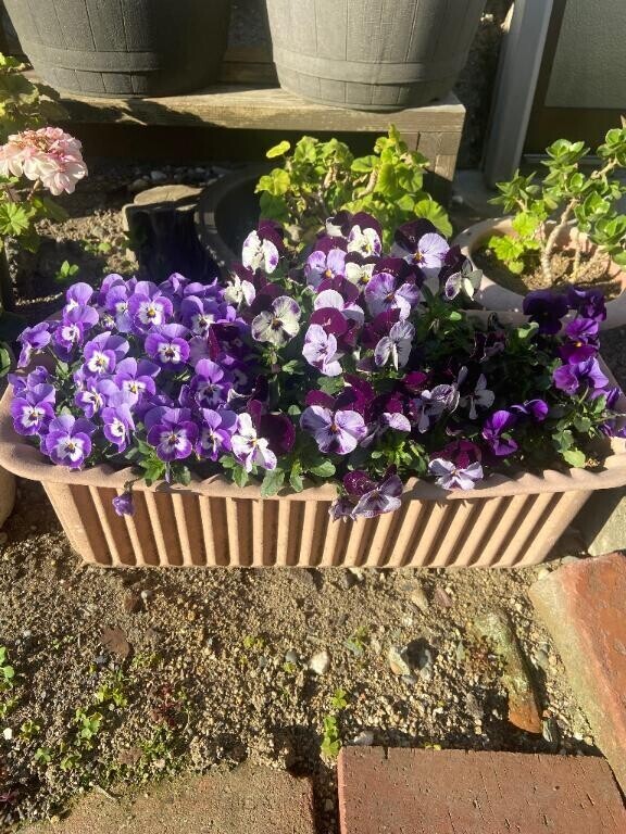 朝ごはんタイム！