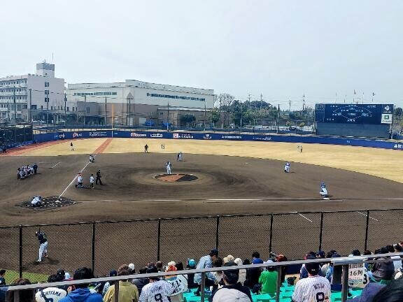 今日も今日とて