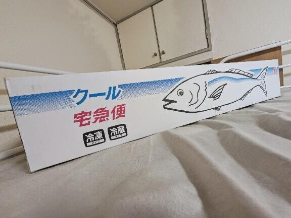 こんなん初めてだよ