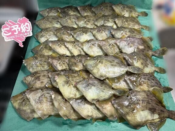 明日150分のご予約