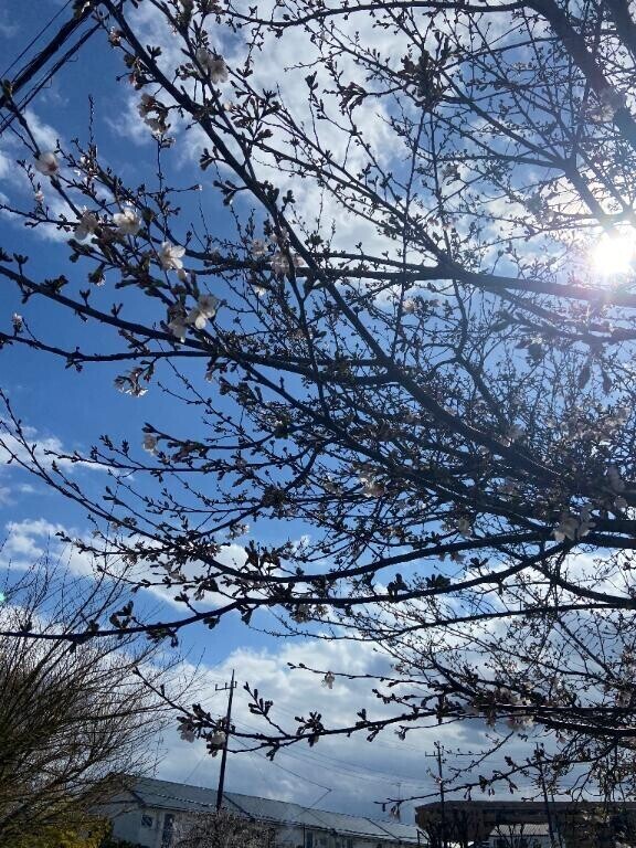 お題に答えたよ