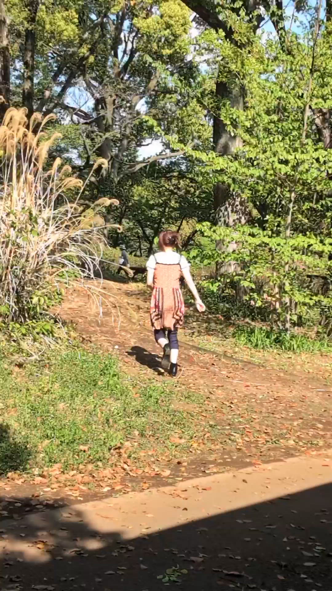 ついに…(FP)