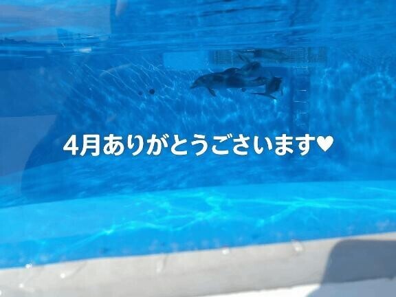 早いけど、