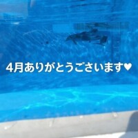 まいこ