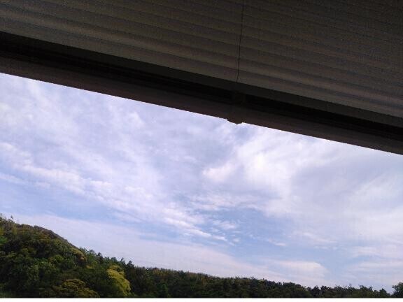 いい お天気だね