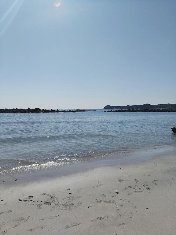 夏