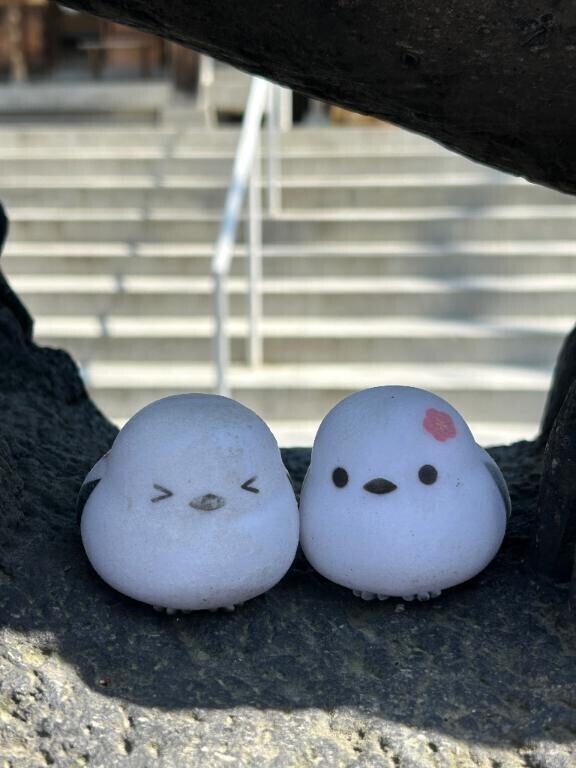 はじめましてみのりです