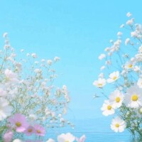まひる