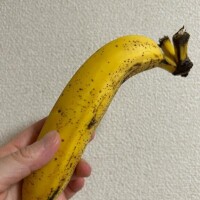 みのり
