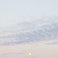 あみん