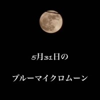 つばさ