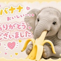 まいこ