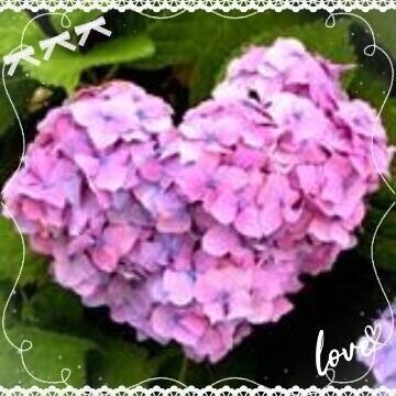 ♪Good Morning♪