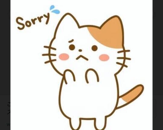 ごめんなさいm(_ _)m