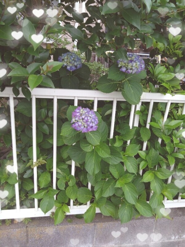 今日もありがとうございました😊
