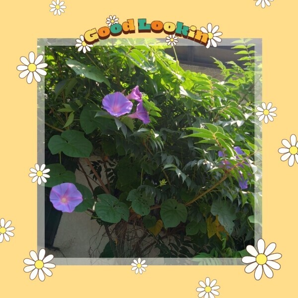 今日は、リクエストのみ出勤です😊