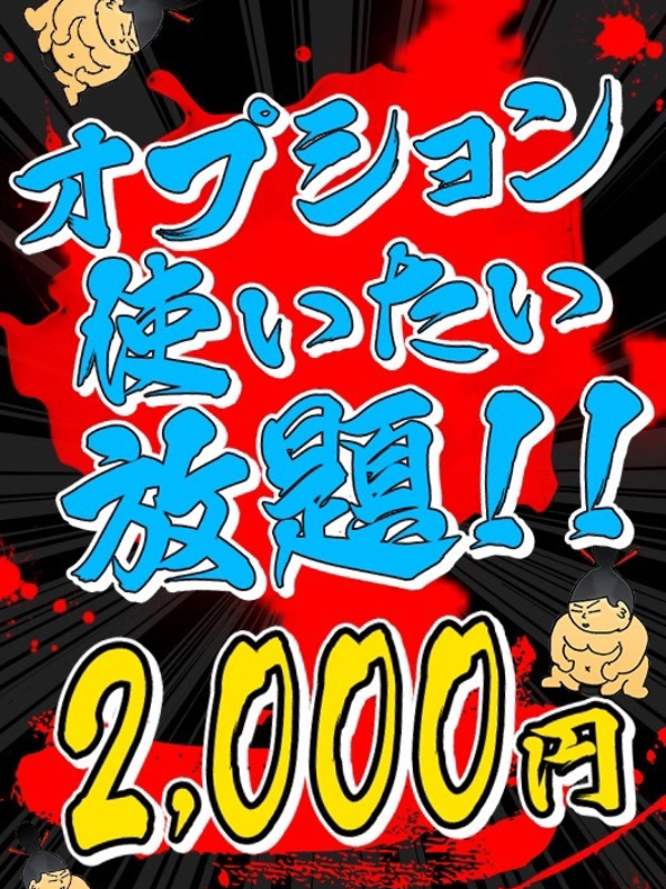 オプション使いたい放題　2000円